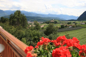Kreuzstein Bed&Breakfast Appiano Sulla Strada Del Vino